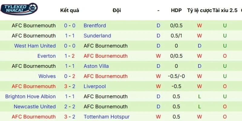Dấu ấn thi đấu gần đây của Bournemouth